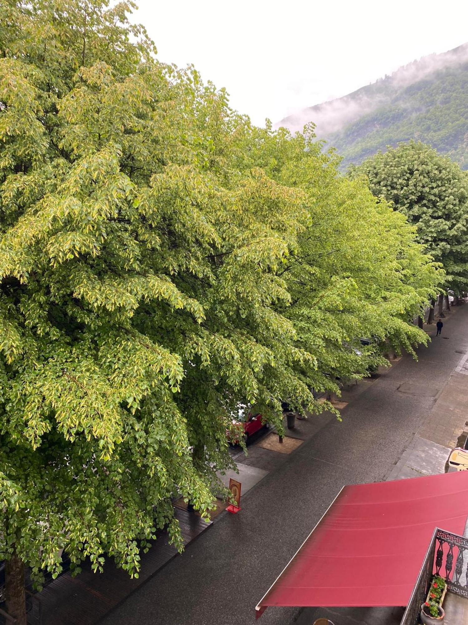 Au 47 Allees D'Etigny - Central & Standing - Avec Parking - Linge De Lit Et De Toilette Inclus Bagneres-de-Luchon Exterior foto